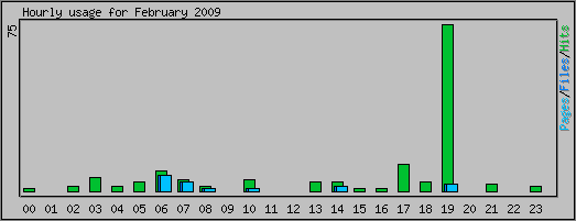 Hourly usage