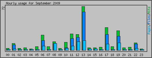 Hourly usage