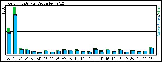 Hourly usage