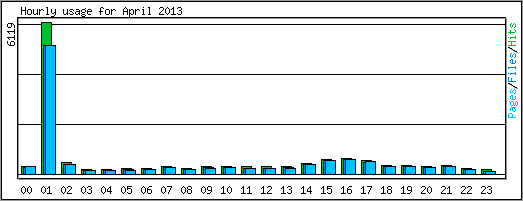 Hourly usage