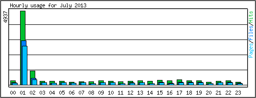 Hourly usage