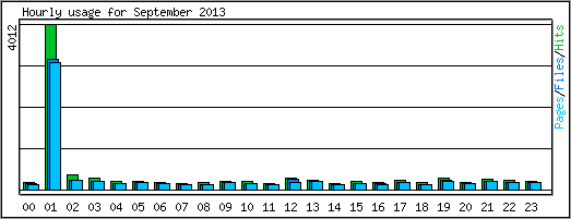 Hourly usage