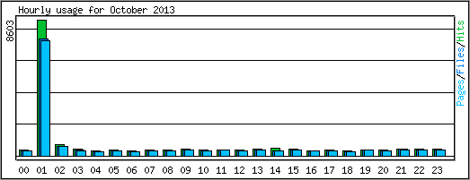 Hourly usage