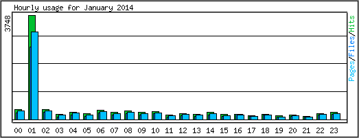 Hourly usage