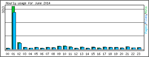 Hourly usage