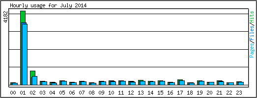 Hourly usage