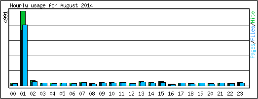 Hourly usage