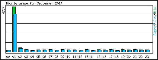 Hourly usage