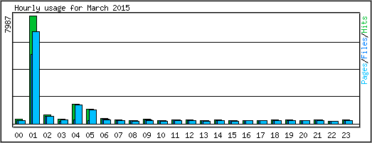 Hourly usage