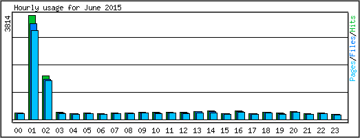 Hourly usage