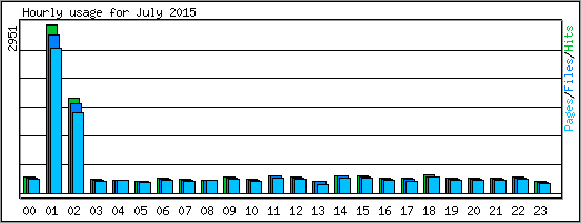 Hourly usage