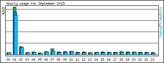 Hourly usage