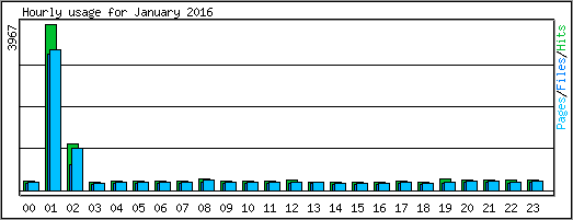 Hourly usage