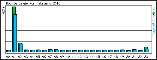 Hourly usage