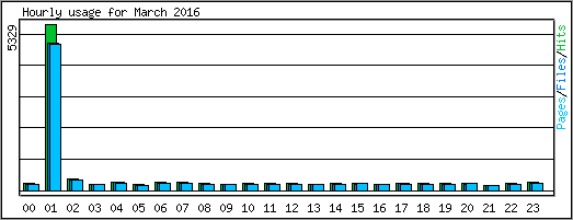 Hourly usage