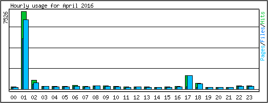 Hourly usage