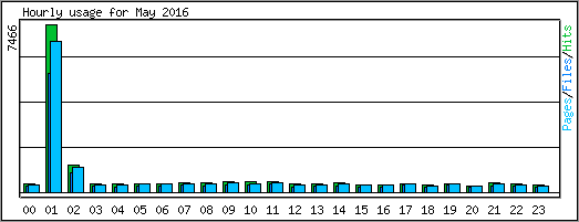 Hourly usage