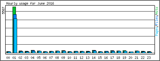 Hourly usage