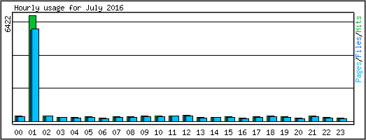 Hourly usage