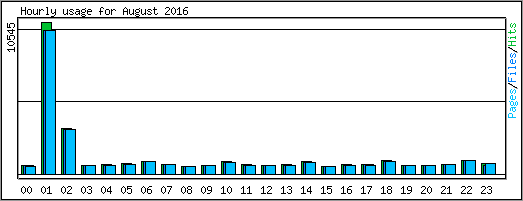 Hourly usage