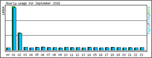 Hourly usage