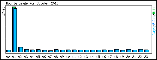 Hourly usage