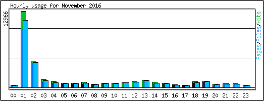 Hourly usage