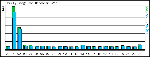 Hourly usage