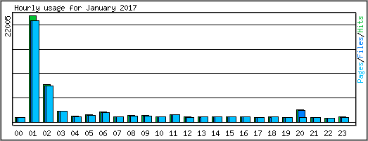 Hourly usage