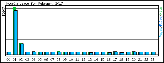 Hourly usage