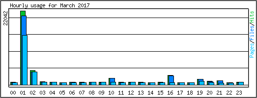 Hourly usage