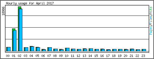 Hourly usage