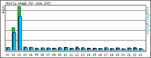 Hourly usage