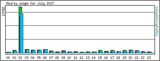 Hourly usage