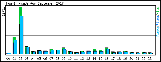 Hourly usage