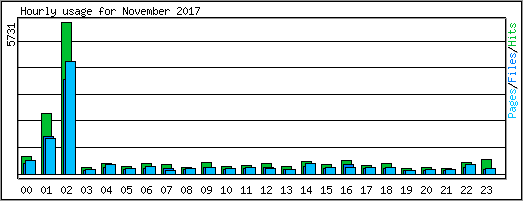 Hourly usage