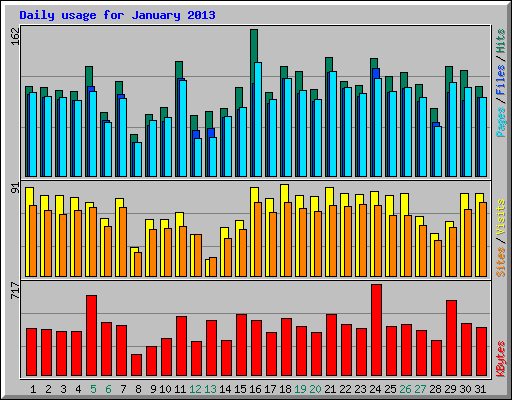 Daily usage for January 2013