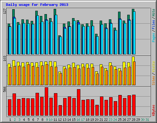 Daily usage for February 2013