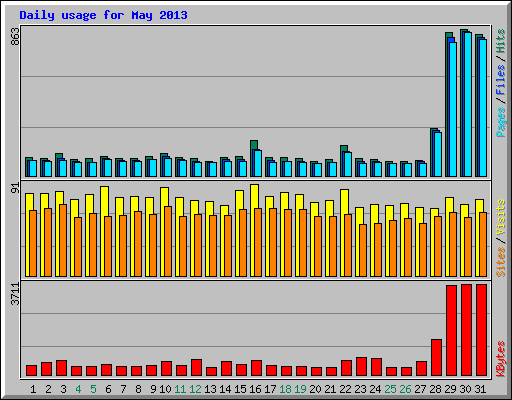 Daily usage for May 2013