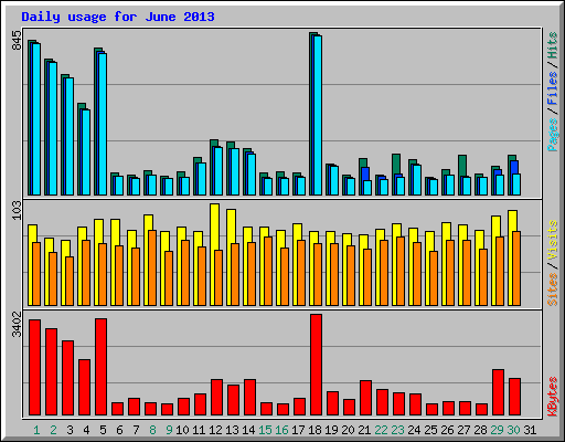 Daily usage for June 2013