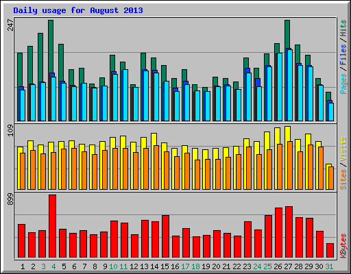 Daily usage for August 2013