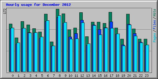 Hourly usage for December 2012