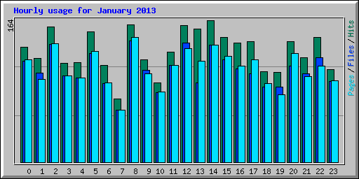 Hourly usage for January 2013