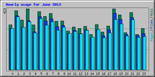 Hourly usage for June 2013