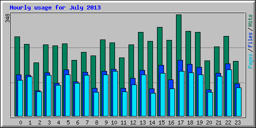 Hourly usage for July 2013