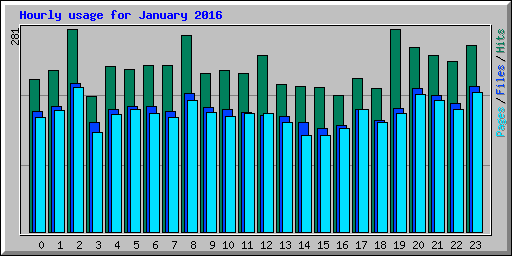 Hourly usage for January 2016