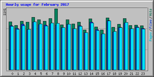 Hourly usage for February 2017